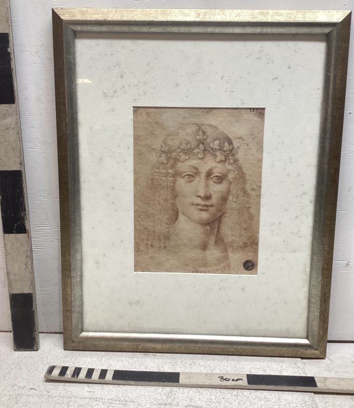 Leonardo Da Vinci - woman