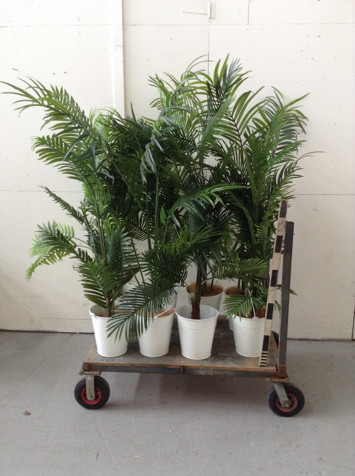 Artificial kentia palm trees propco