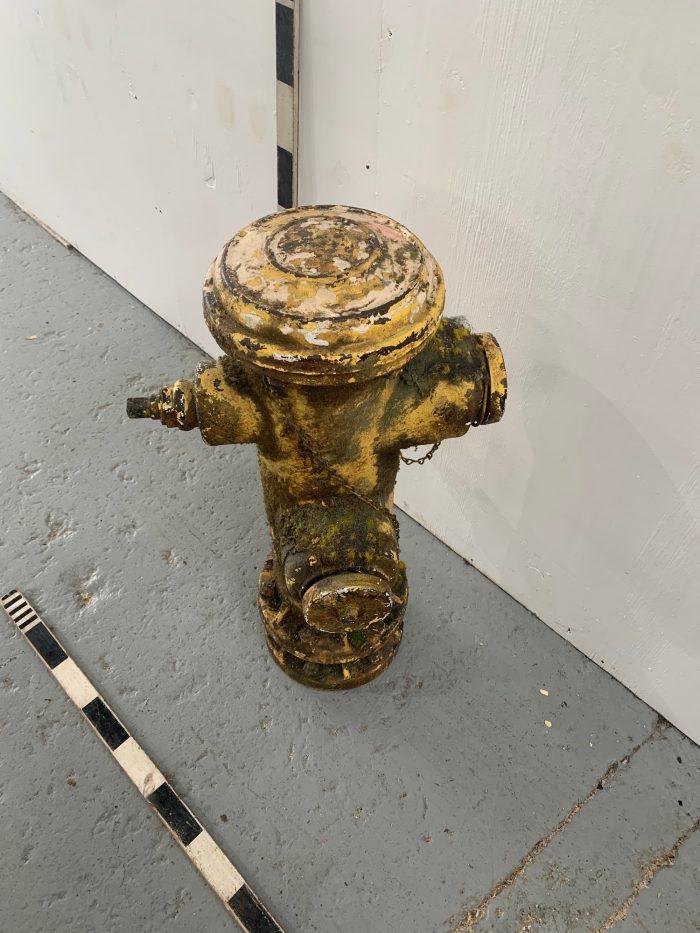 US City Fire Hydrant - Image 2