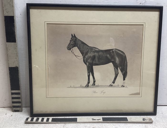 Painting of horse