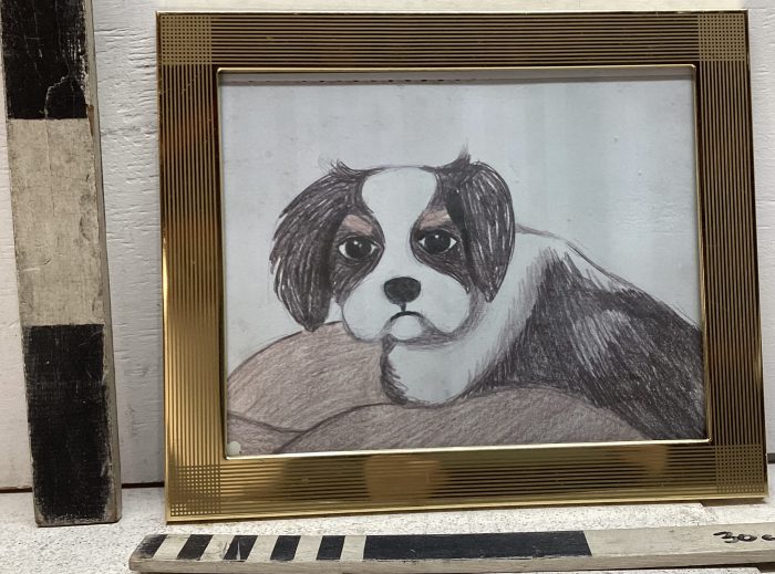 Children's drawing of dog