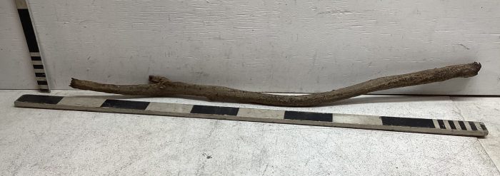 Soft wooden branch