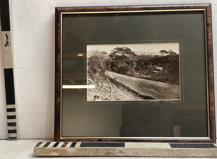 Landscape photograph