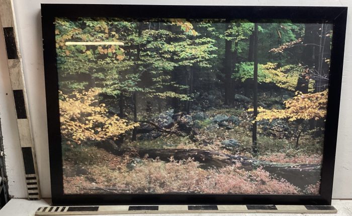 Landscape print