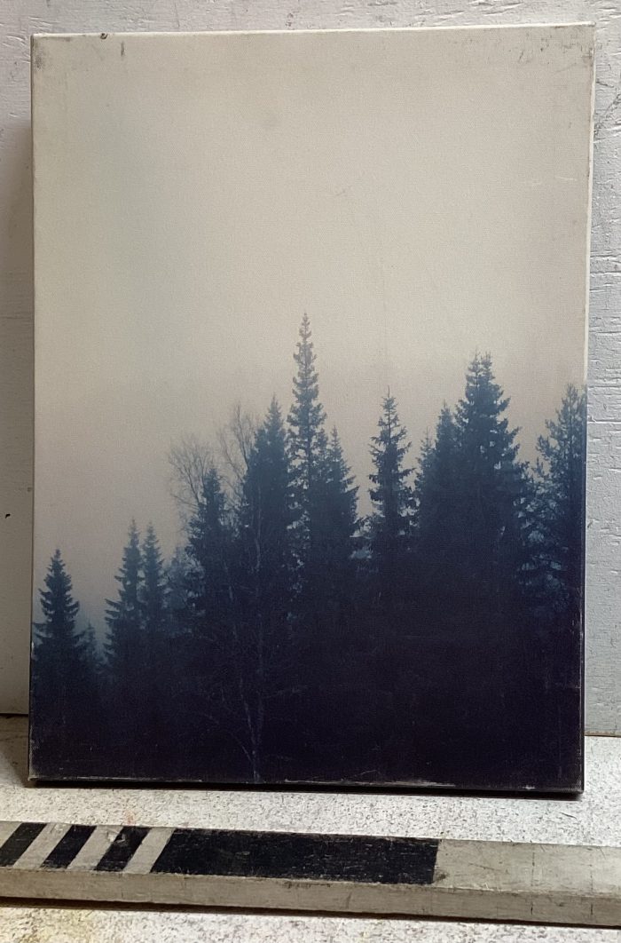 Landscape print