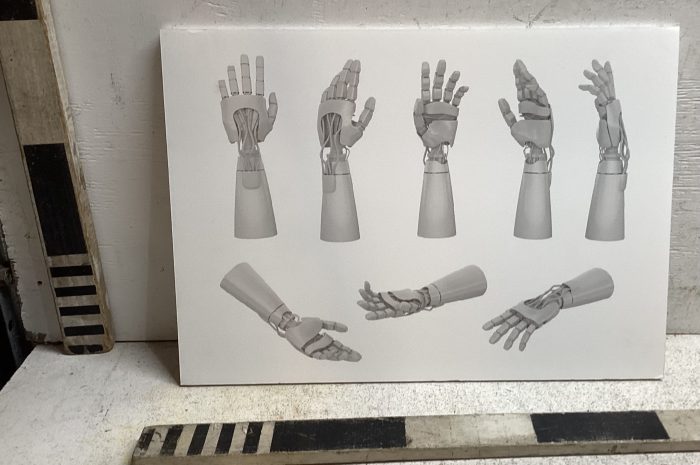 Print of robotic hands