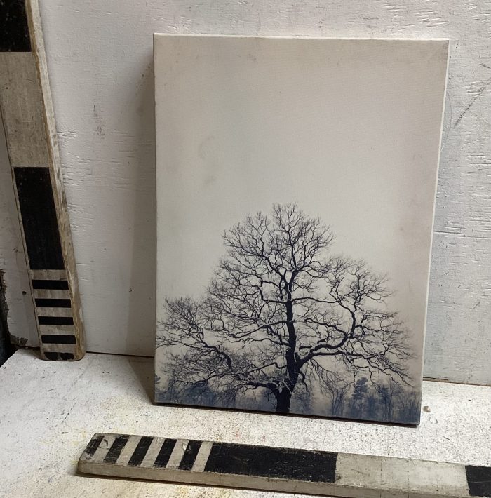 Landscape print