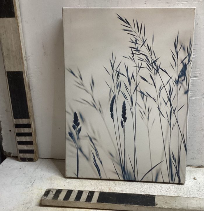 Landscape print