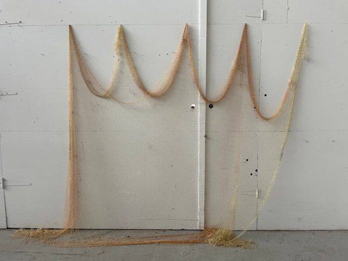 Natural Fishing Net