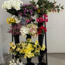 News Mags & Flower Stands