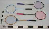 Badminton & Lacross